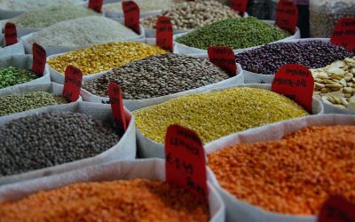 ۱۳ نکته درباره دستگاه بوجاری که شاید نمی‌دانستید