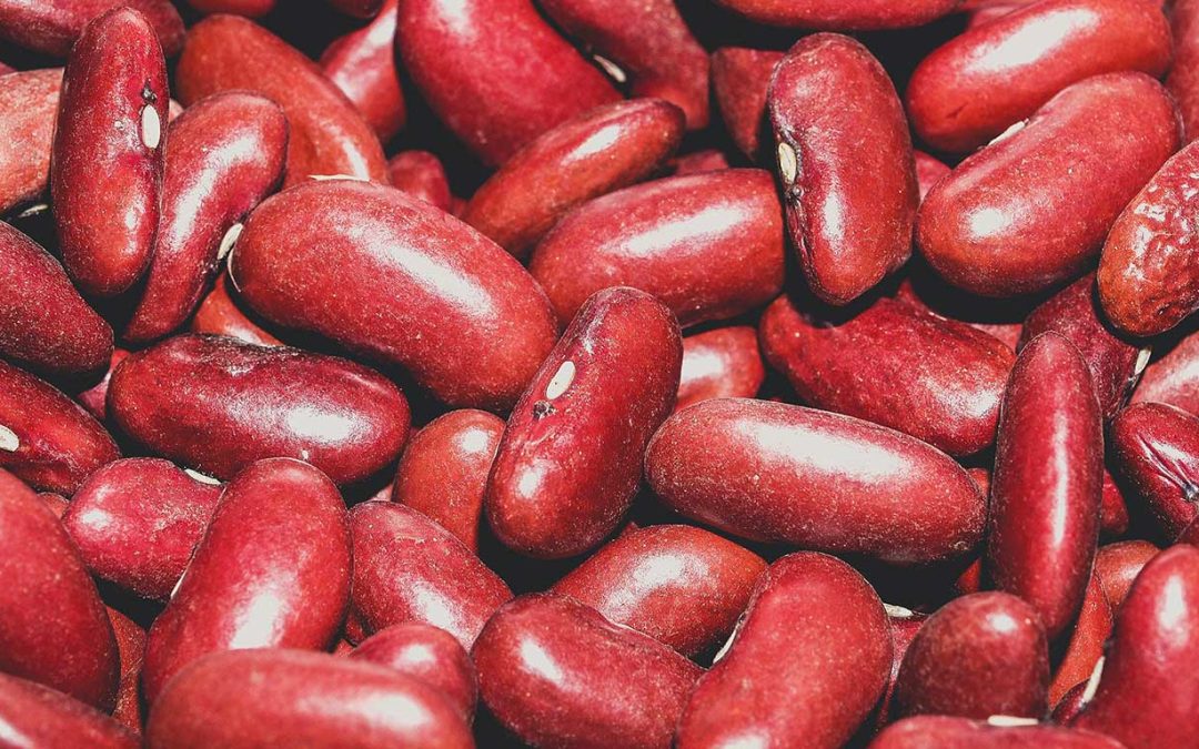 3 تفاوت اصلی دستگاه بوجاری قدیمی و جدید