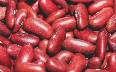 3 تفاوت اصلی دستگاه بوجاری قدیمی و جدید