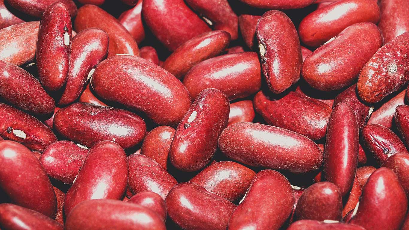 3 تفاوت اصلی دستگاه بوجاری قدیمی و مدرن
